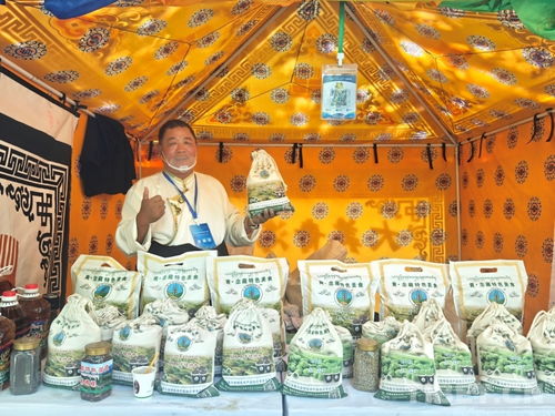 熱貢文化耀拉薩，青藏?cái)y手譜新篇——熱貢文化推介會(huì)暨文藝演出在拉薩成功舉辦