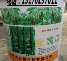 高清圖片展示生物質(zhì)能技術(shù)服務(wù) 綠色能源的未來(lái)藍(lán)圖