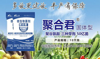 5個(gè)層面近30個(gè)標(biāo)準(zhǔn)，助推微生物肥料產(chǎn)業(yè)快速發(fā)展